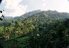 Best of Kalimpong - Darjeeling Kalimpong View